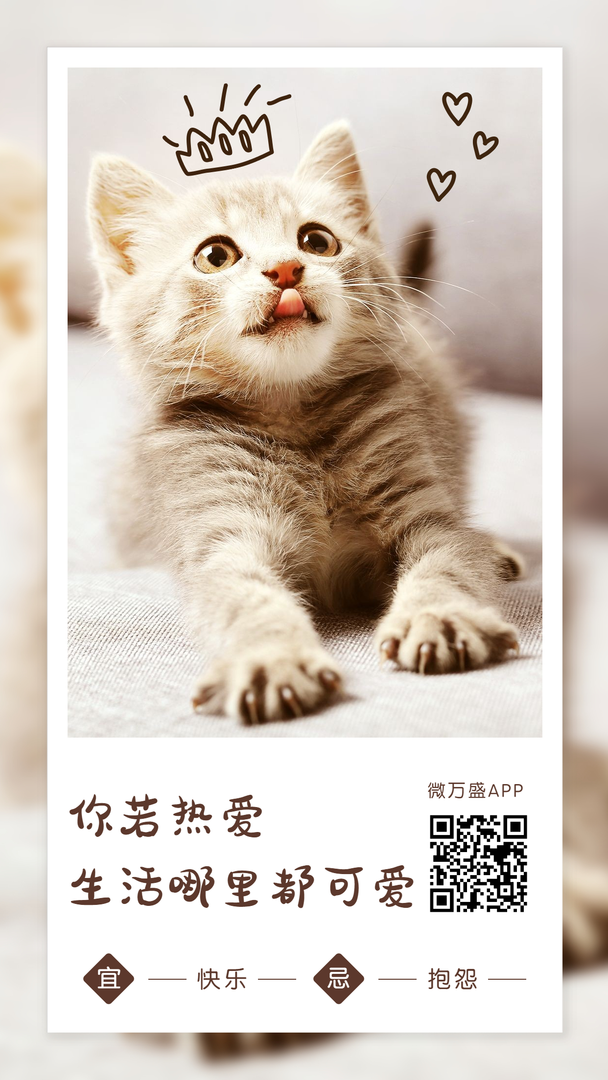 6月你好月初问候日签宠物手机海报.jpg