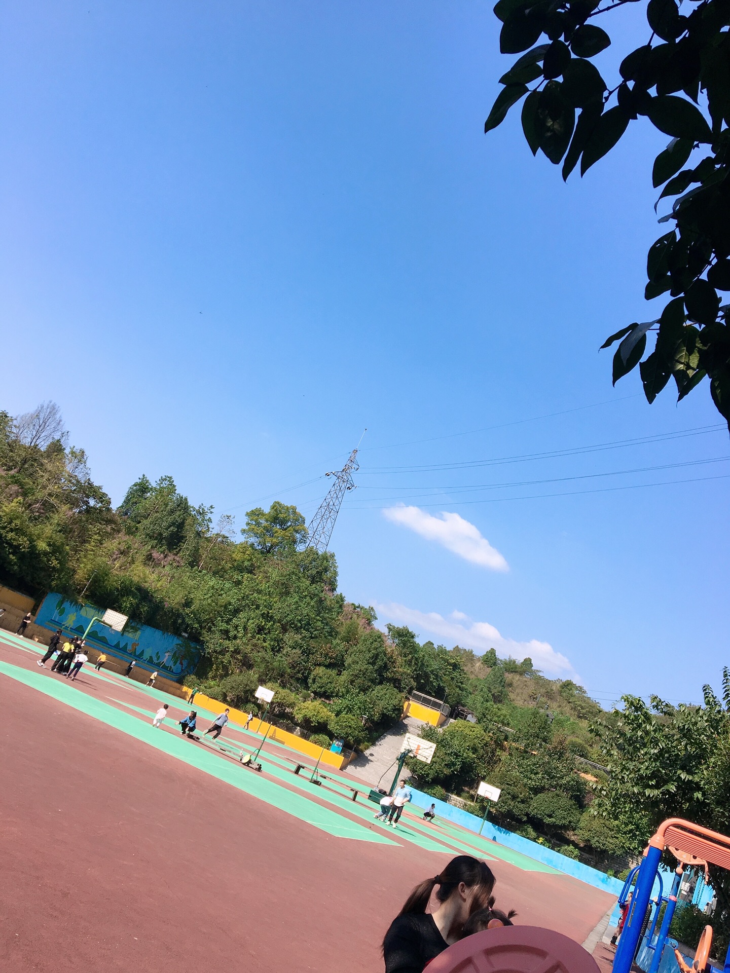 图片